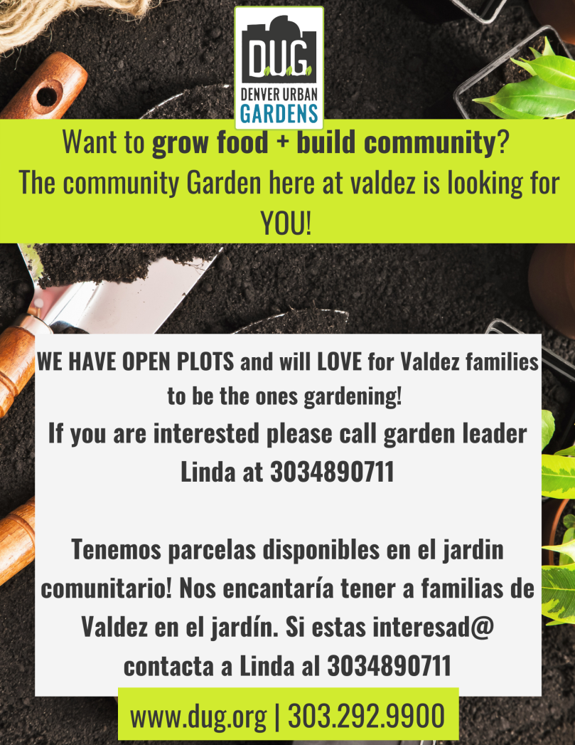 Denver Urban Gardens logo and flyer. Black text in green and white text boxes over an image of soil and gardening tools. Text says, "Want to grow food + build community? The community garden here at Valdez is looking for you!" and "We have open plots and will love for Valdez families to be the ones gardening! If you are interested please call garden leader Linda at 3034890711. 