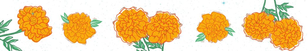 Orange marigolds