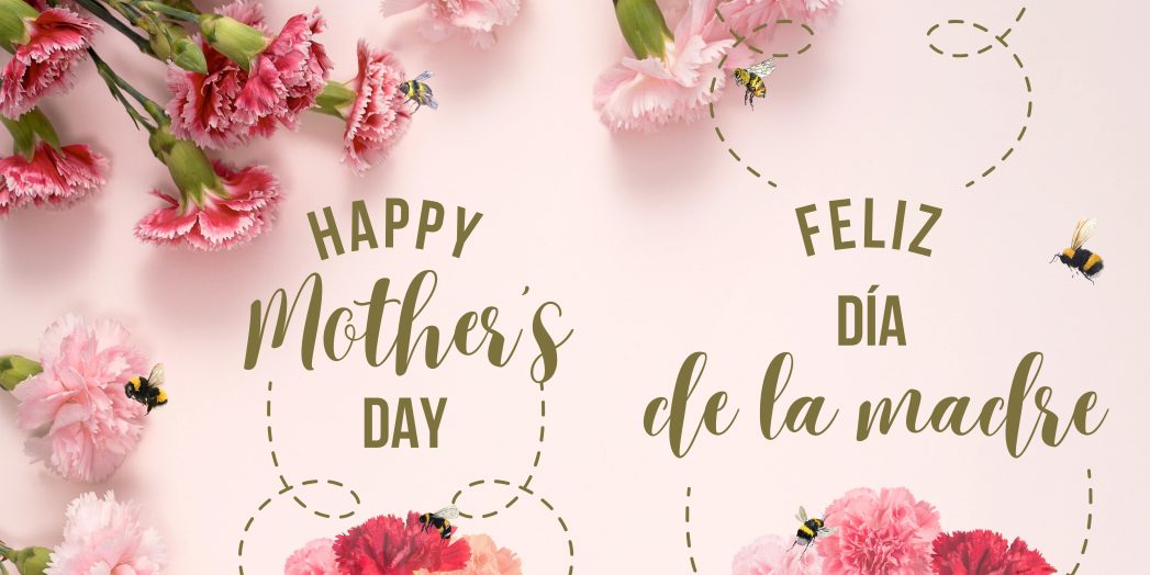 Light pink background with pink and red carnations around the border. Text in middle says, "Happy Mother's Day" and "Feliz Día de la madre"