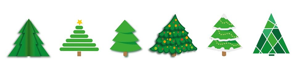 A row of 6 Christmas trees