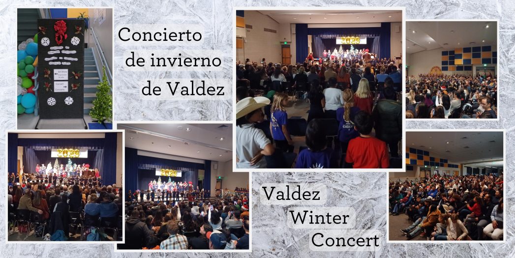 Gray background with white ice. Several photos from the Valdez winter concert. Black text says, "Valdez Winter Concert."