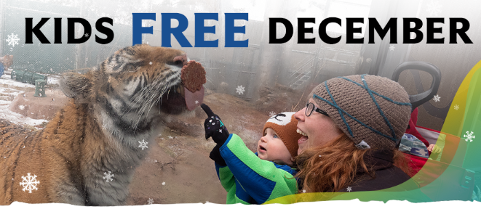 Photo of a mother and child pointing at a tiger behind glass. Text at top says KIDS FREE DECEMBER.