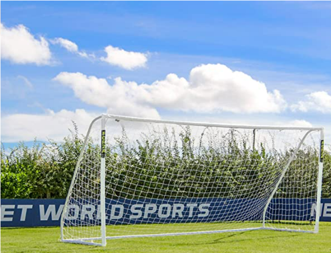 Photo of a soccer goal on green grass with shrubs in the background.