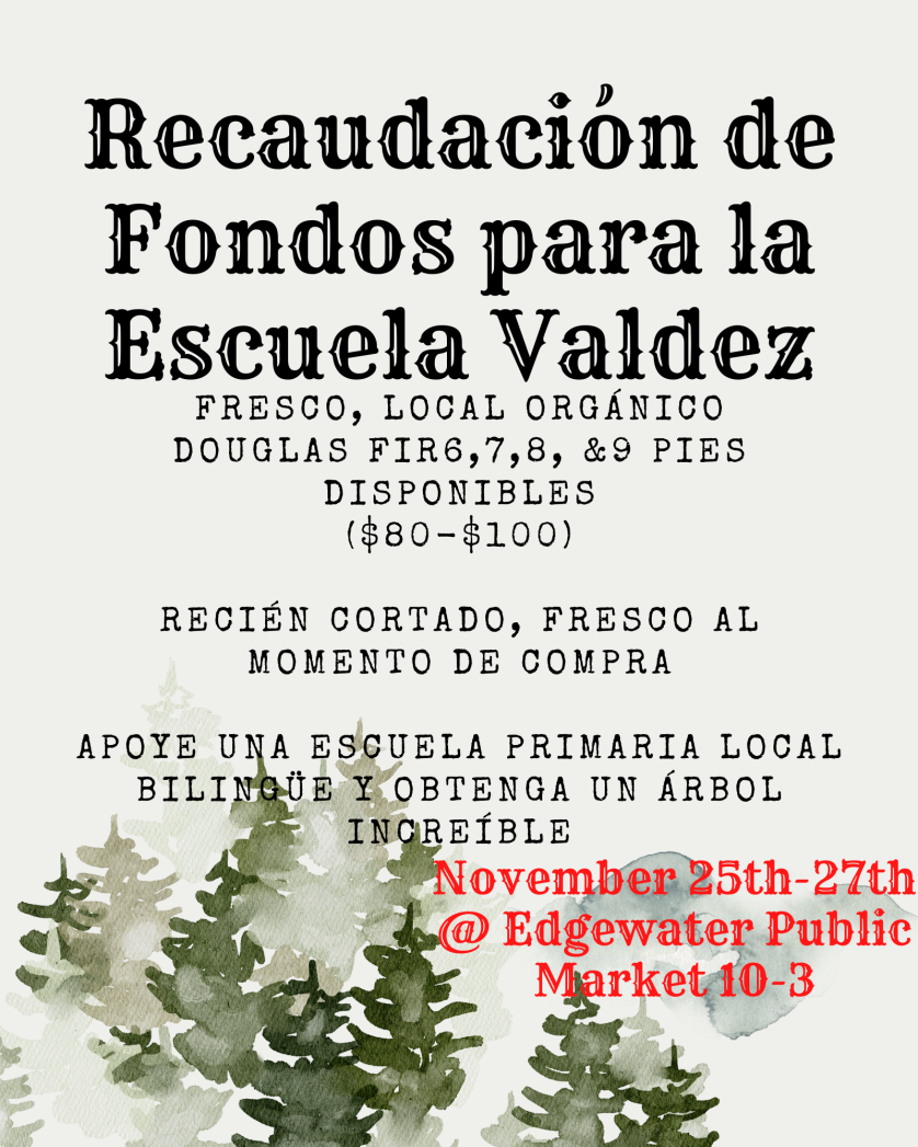 Volante con fondo blanco y pinos verdes bordeando la parte inferior. El texto en negro dice: "Recaudación de fondos para la Escuela Valdez: árboles de Navidad. Douglas Fir frescos, de origen local. Disponibles de 6, 7, 8 y 9 pies. ($80-100) Recorte de extremo fresco en la compra. Apoye a una escuela primaria local bilingüe y obtén un árbol increíble del 25 al 27 de noviembre en Edgewater Marketplace, 10-3.