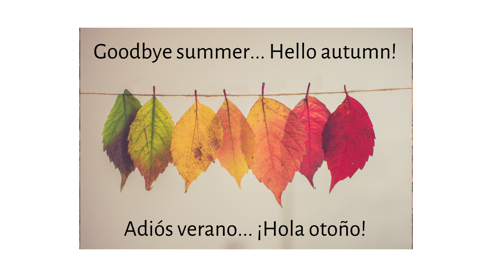 Picture with leaves and words: goodbye summer...hello autumn