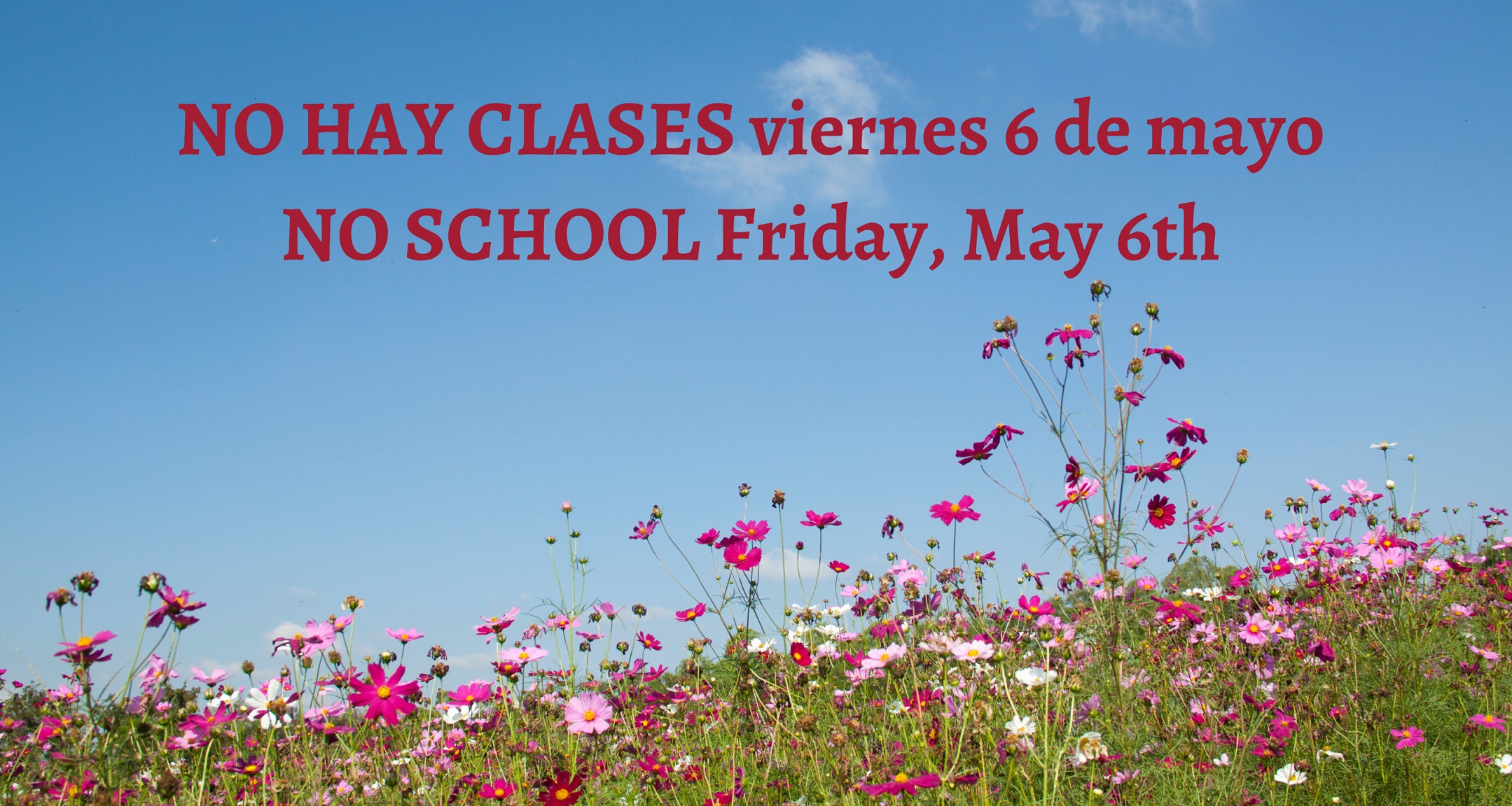 Red text on a background of blue sky above grass and flowers. Text says, "NO SCHOOL Friday, May 6" and "NO HAY CLASES viernes 6 de mayo."