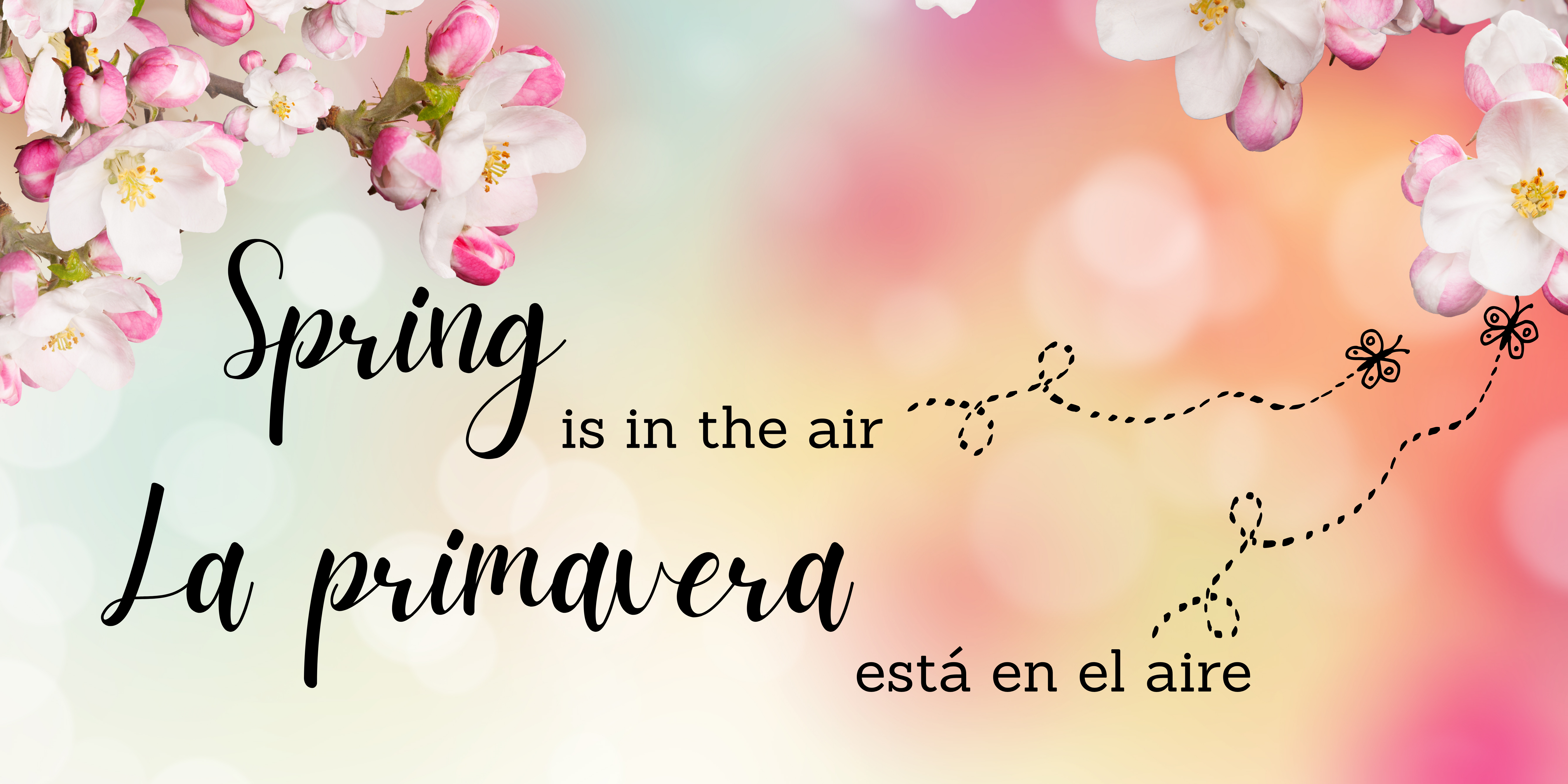 Black text on pastel background with images of cherry blossoms says, "Spring is in the air" and "La primavera está en el aire"