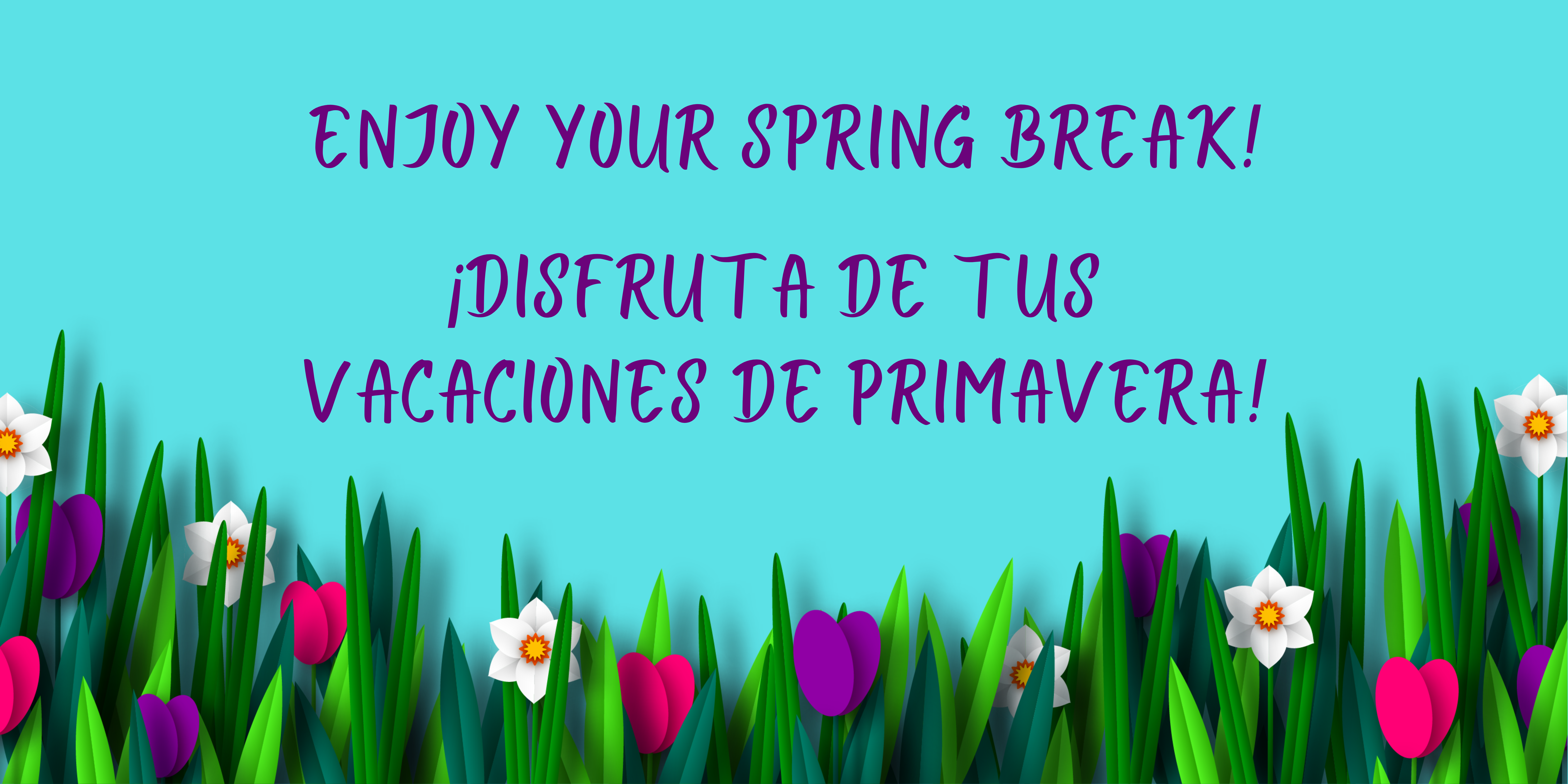 Sky blue background with graphics of white red, and purple flowers and green grass along the bottom. Purple text says, "Enjoy your Spring Break! ¡Disfruta de tus vacaciones de primavera!"