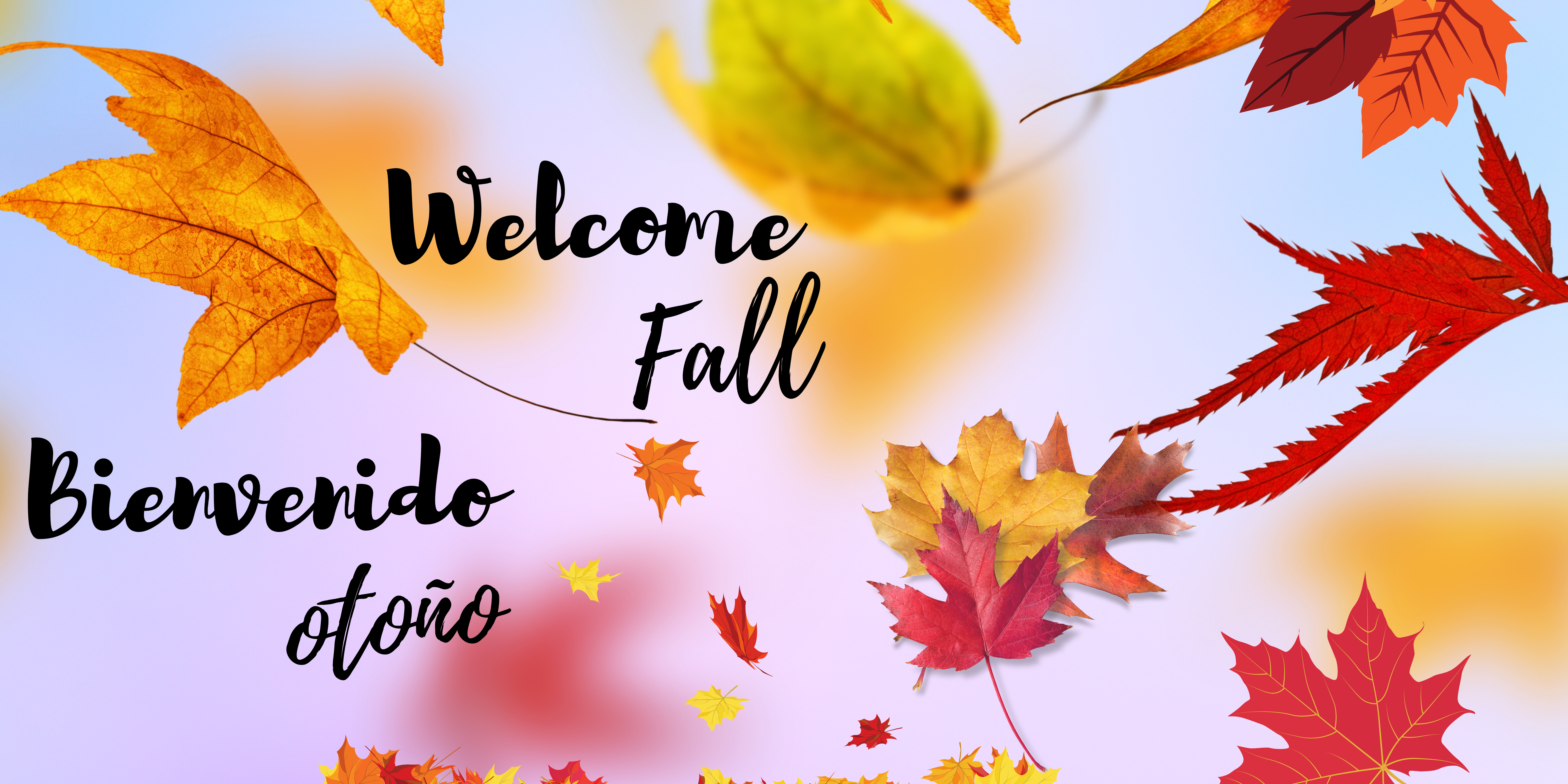 Text says, "Welcome Fall" and "Bienvenido otoño" over a background of colorful fall leaves.